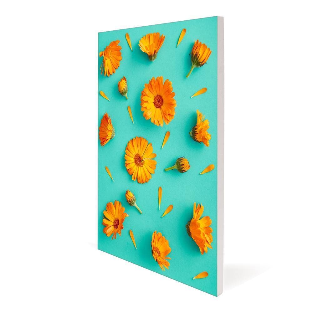 Aspen Slim Wall Mounted Single-Sided Frame Only - WS Display