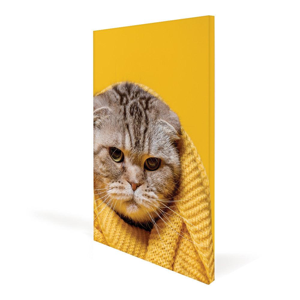 Canvas Frame Display - WS Display